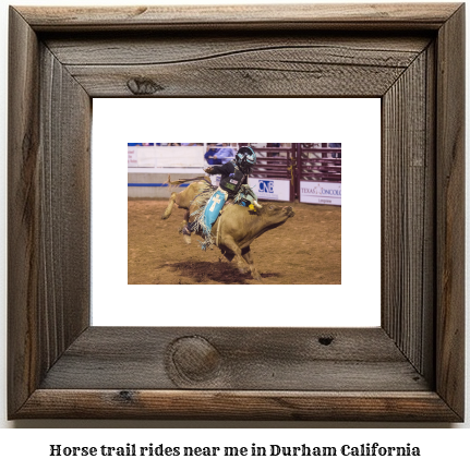 horse trail rides near me in Durham, California